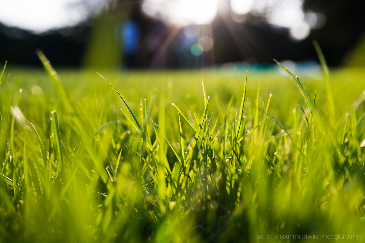 20130921-_DSC1333-東大.jpg